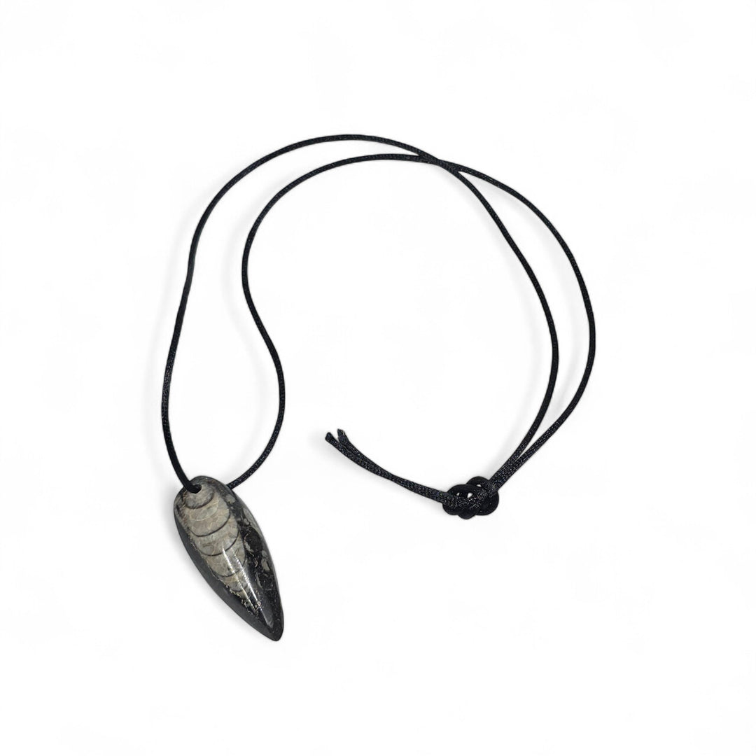 Pendentifs Orthoceras