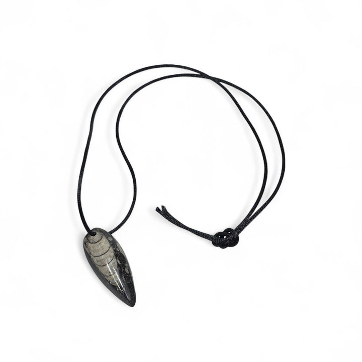 Pendentifs Orthoceras