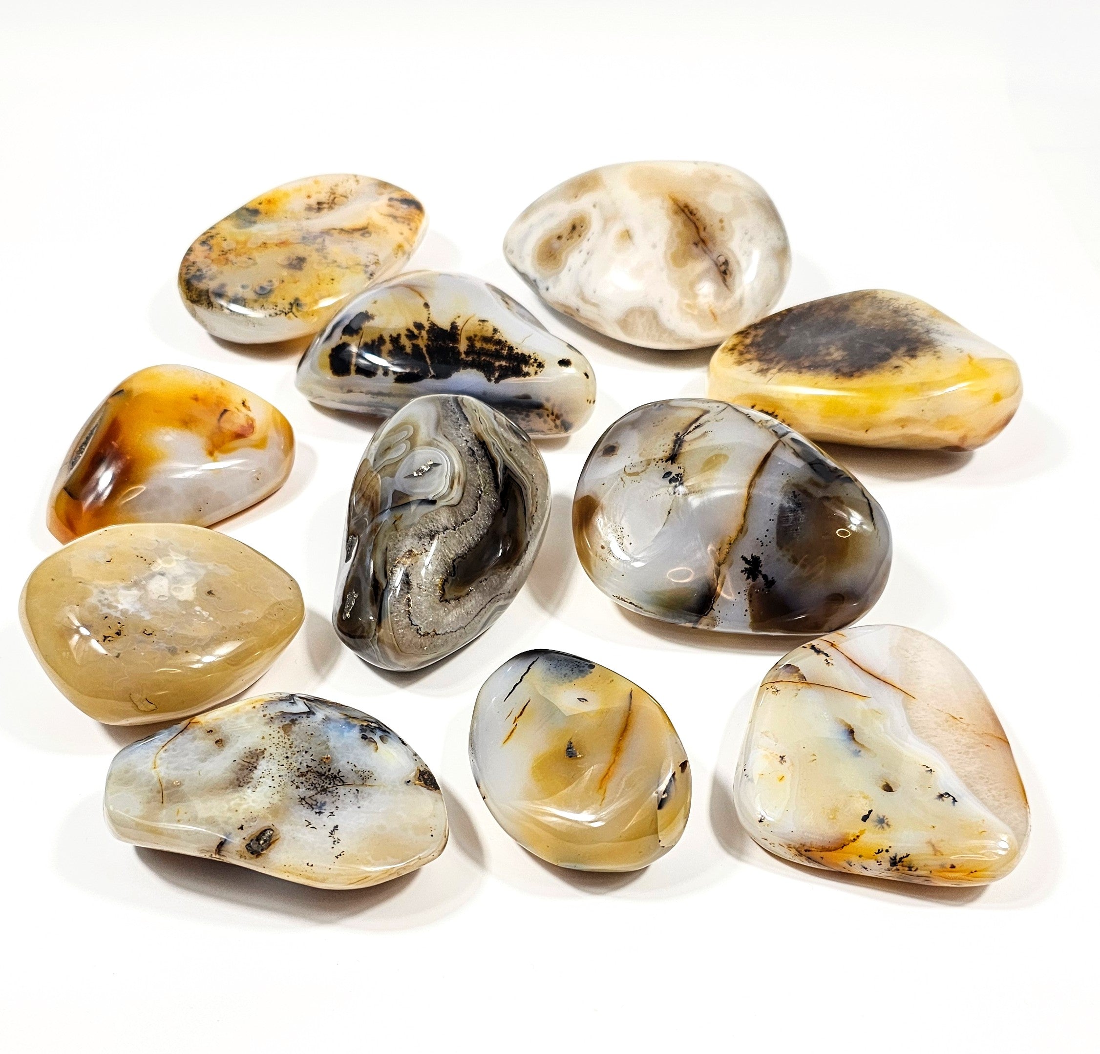 Agate Dendritique