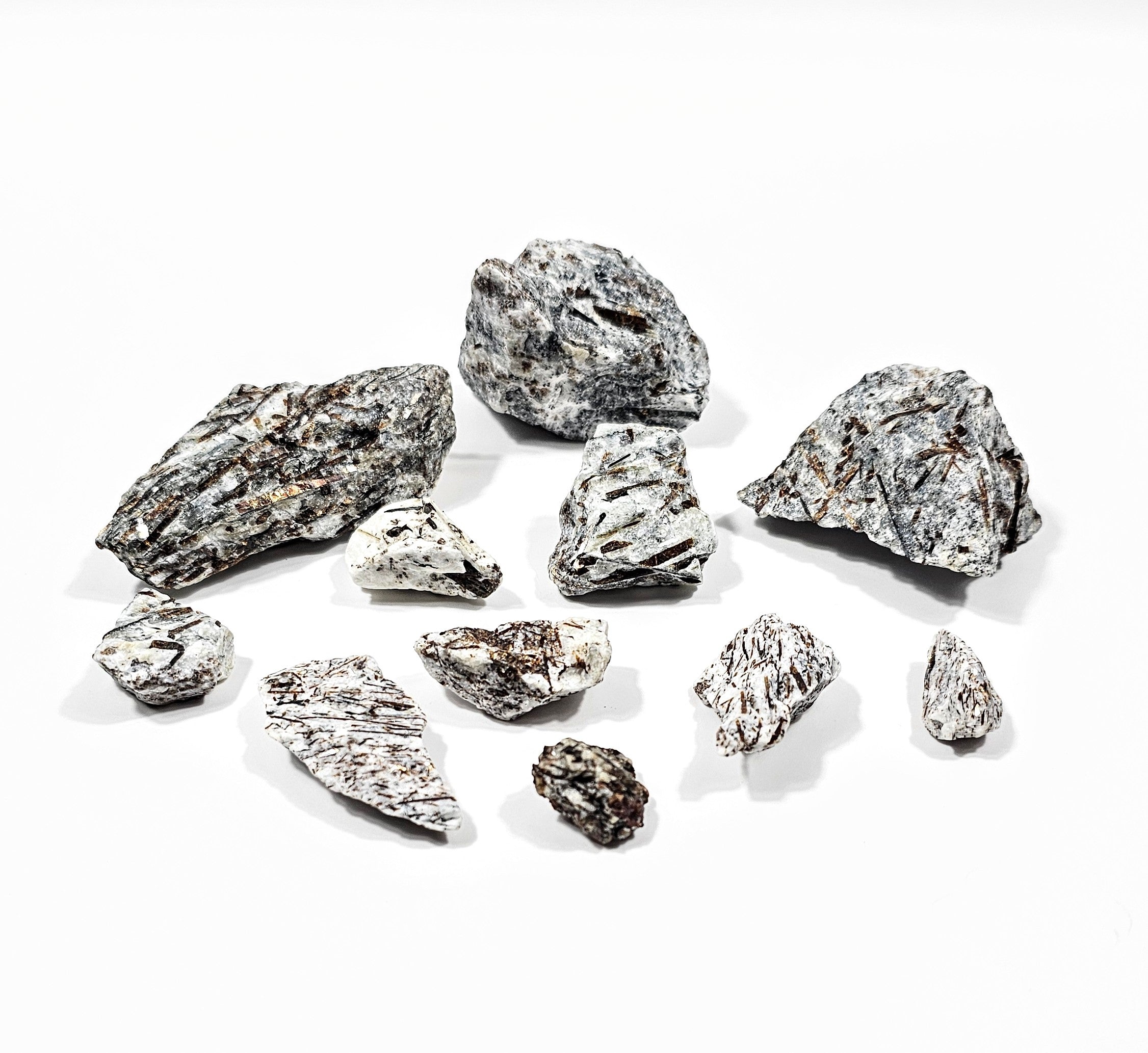 Astrophyllites