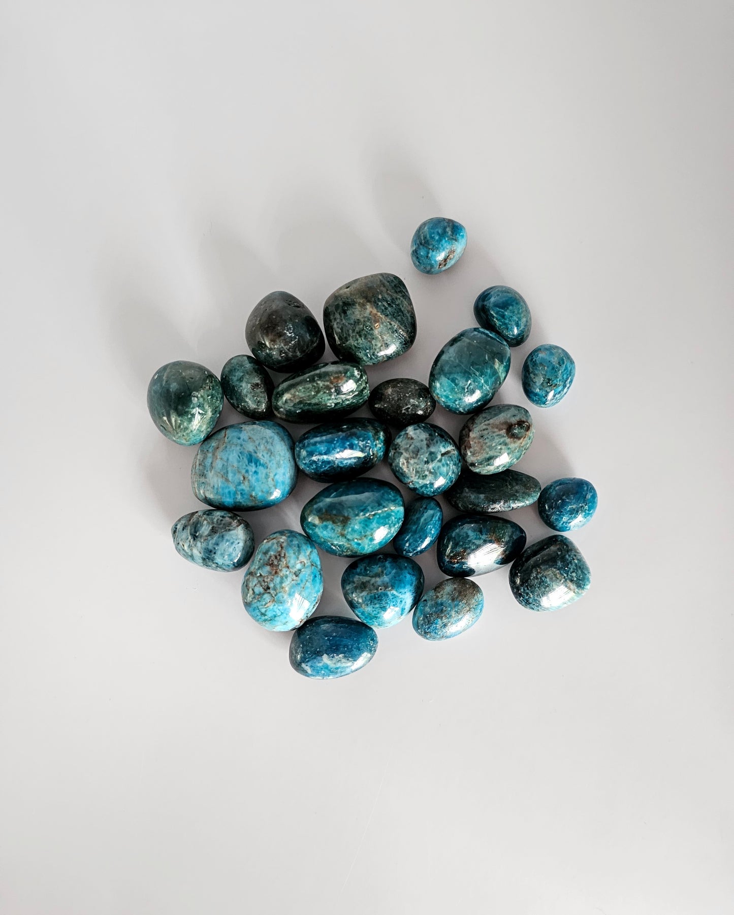 Apatite Bleu Polie