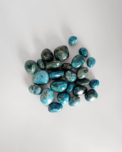 Apatite Bleu Polie