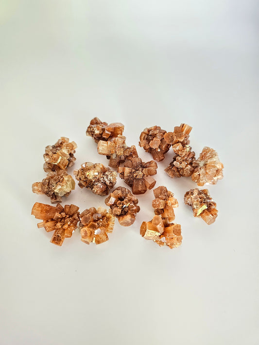 Amas d'Aragonite