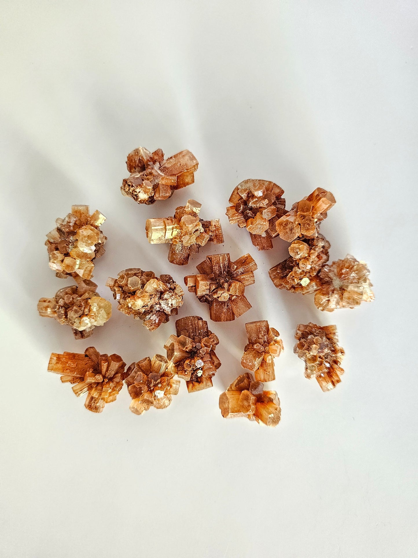 Amas d'Aragonite