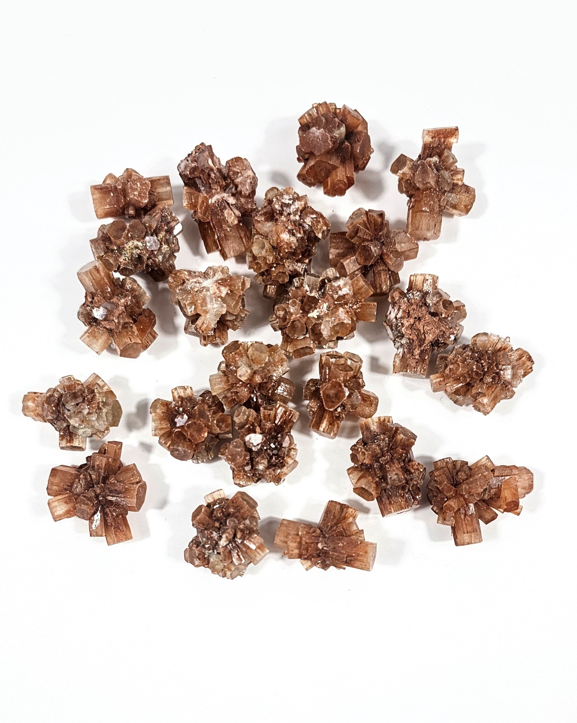 Amas d'Aragonite