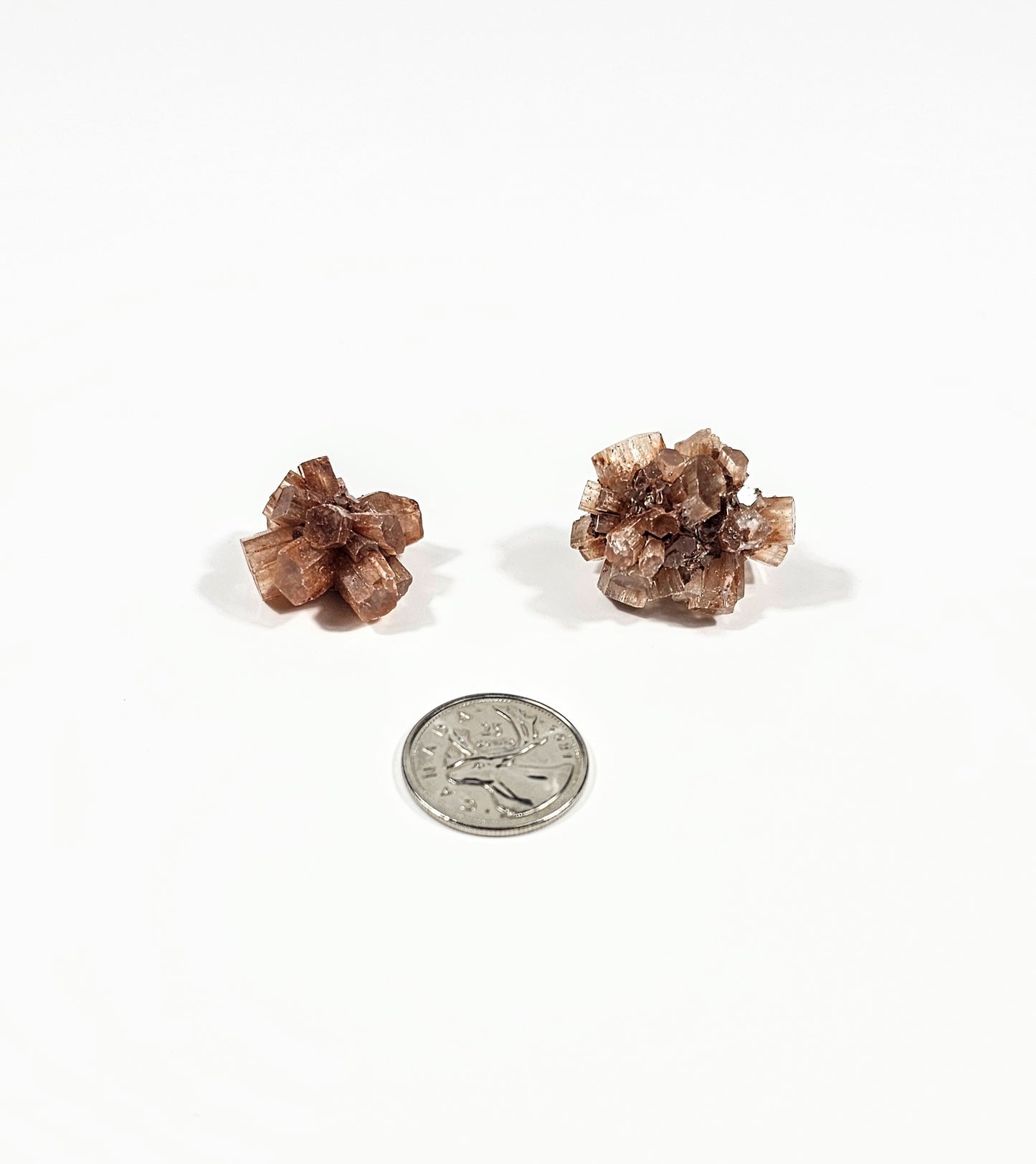 Amas d'Aragonite