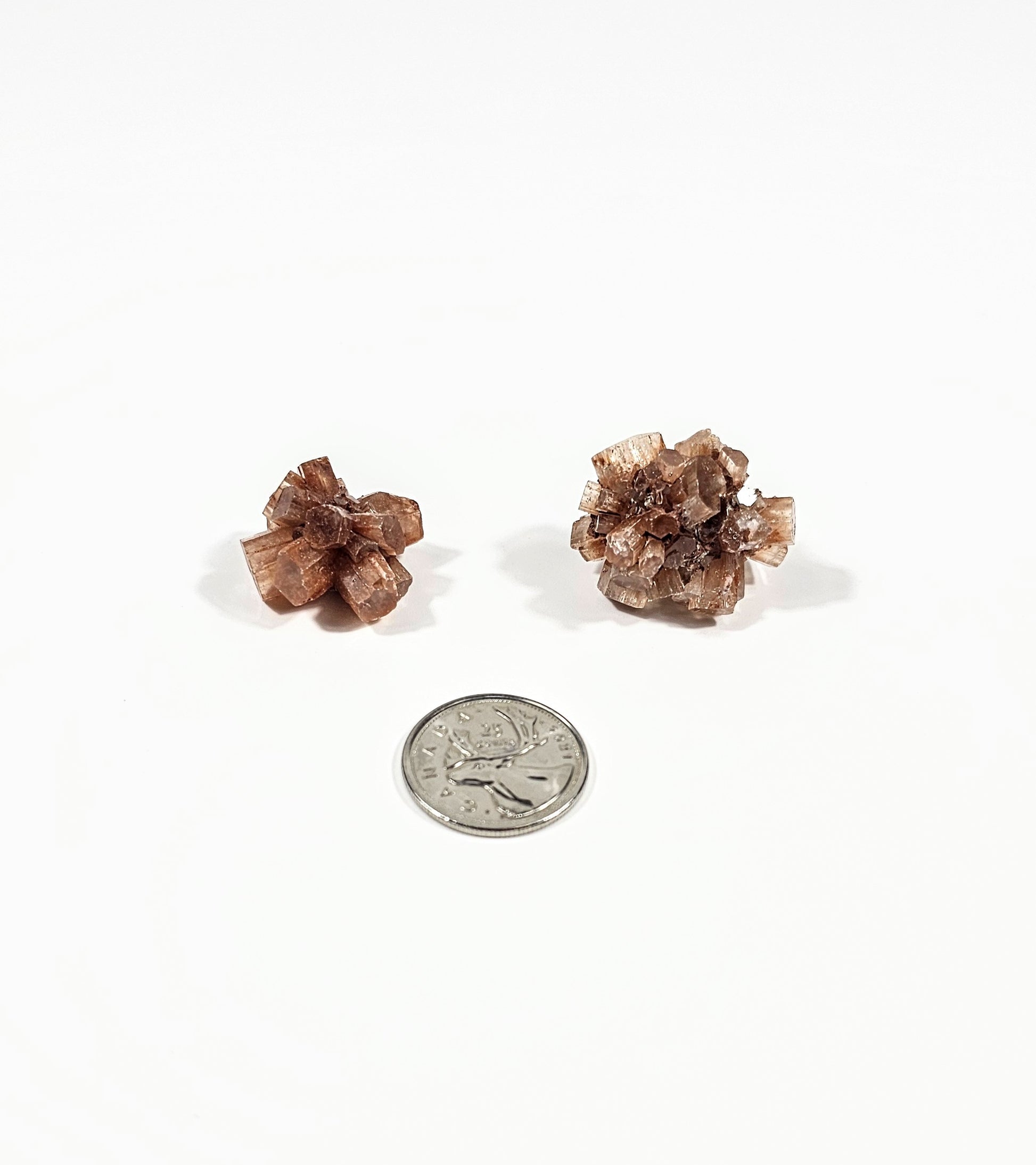 Amas d'Aragonite