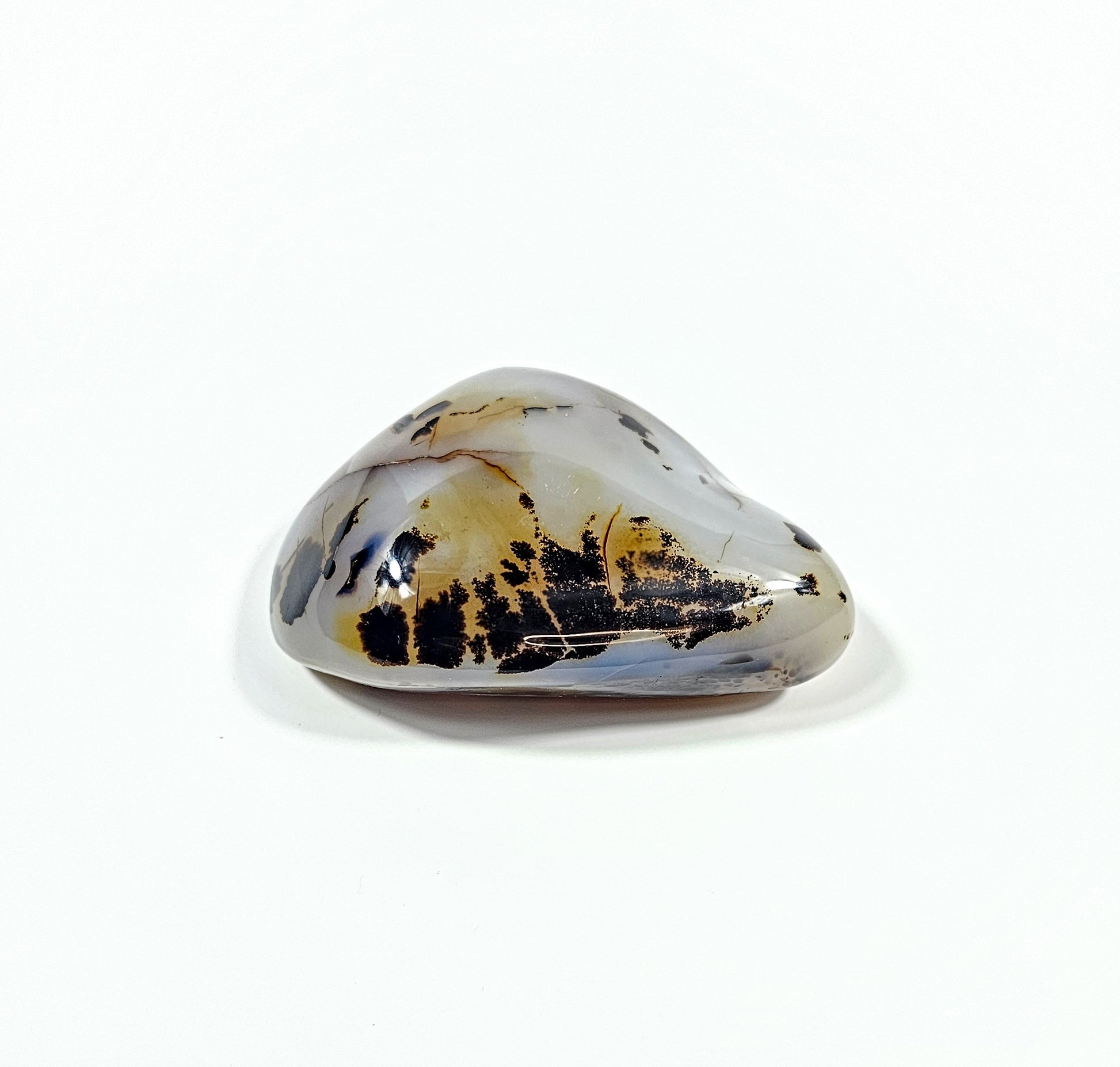 Agate Dendritique Polie