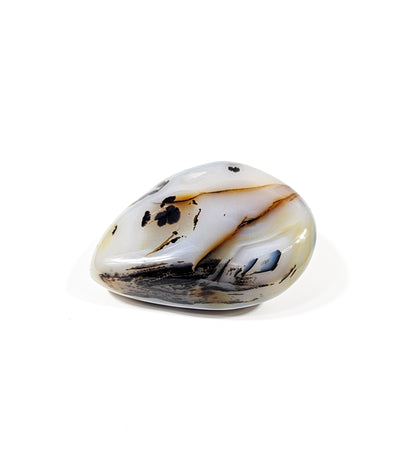 Agate Dendritique Polie