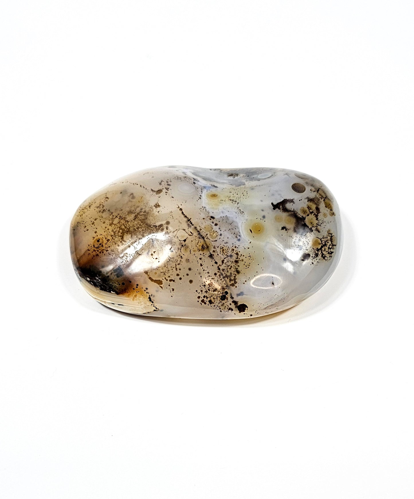 Agate Dendritique Polie