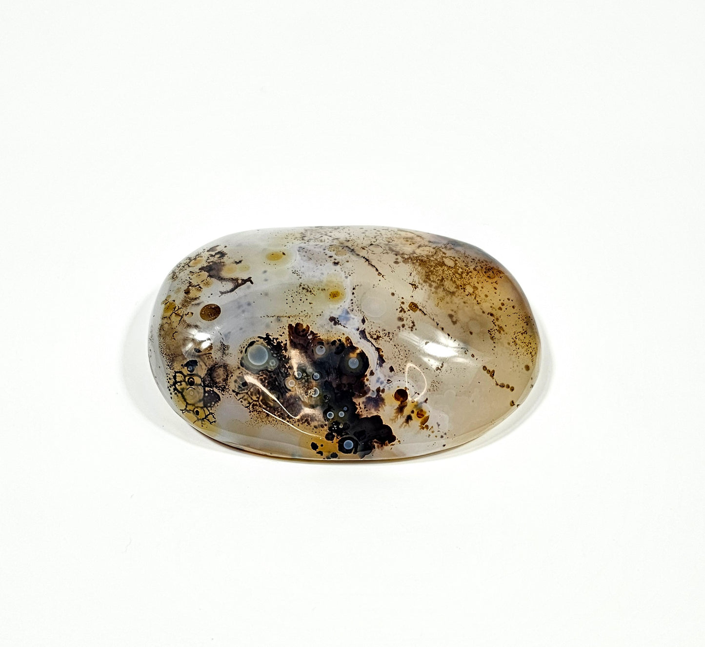 Agate Dendritique Polie