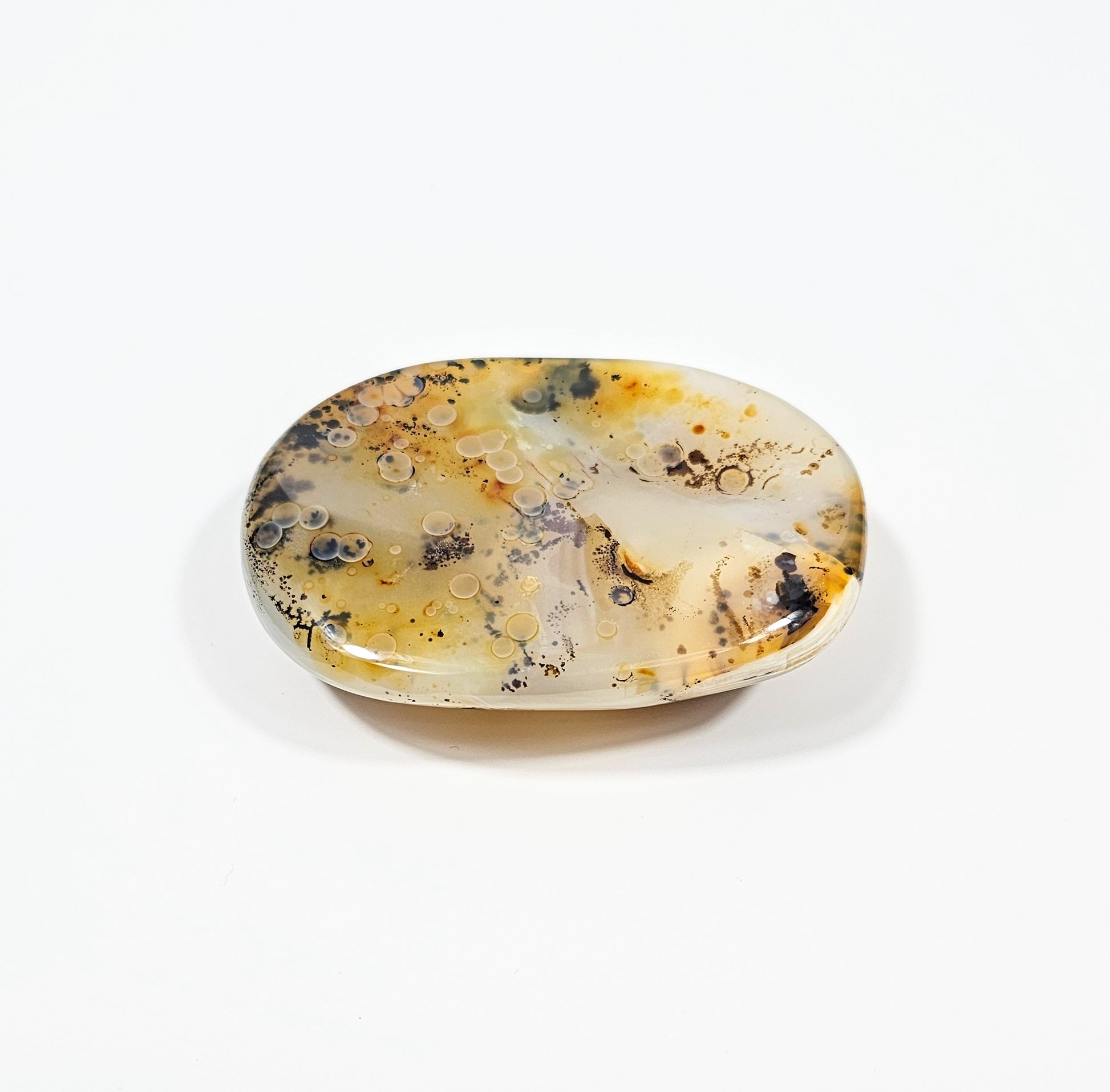 Agate Dendritique Polie