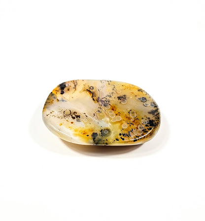 Agate Dendritique Polie