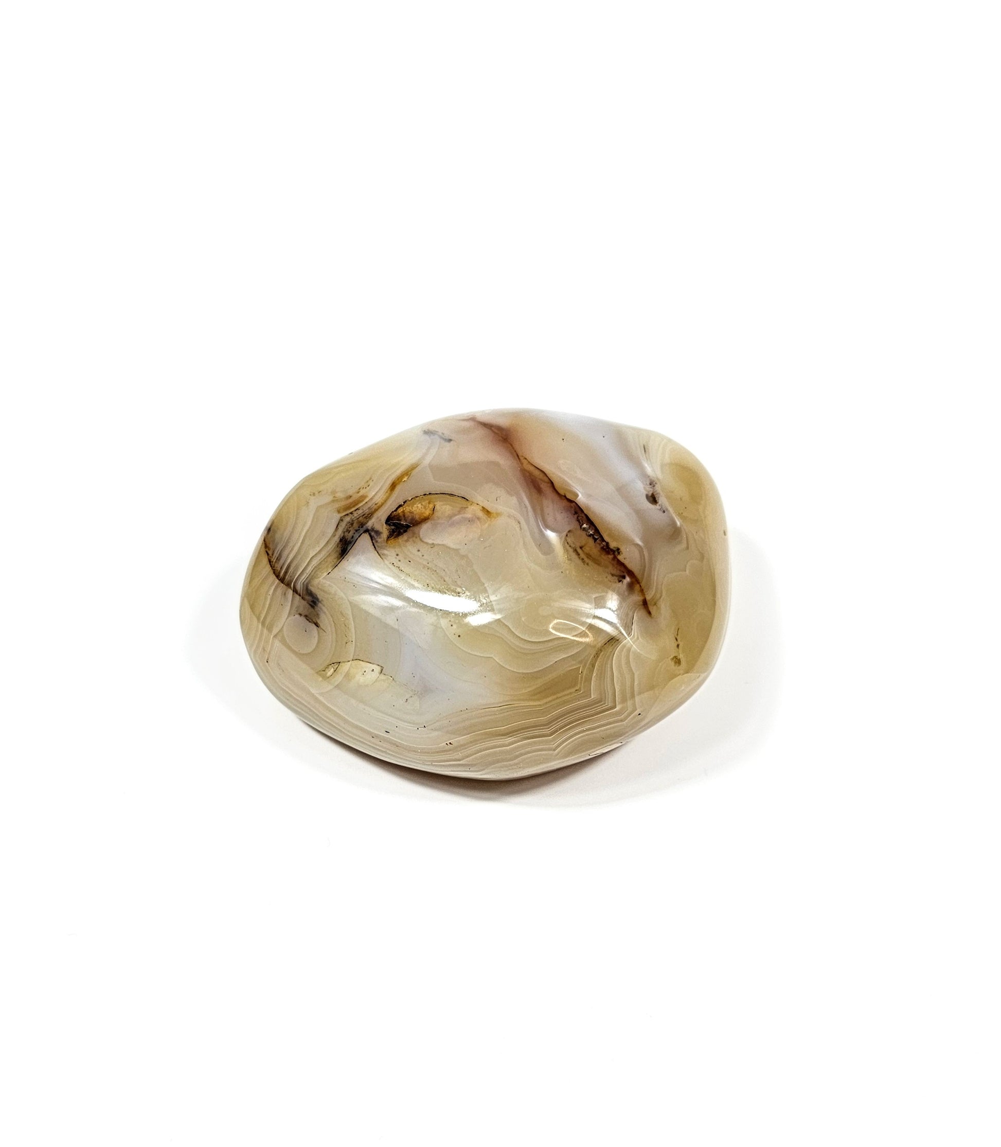 Agate Dendritique Polie