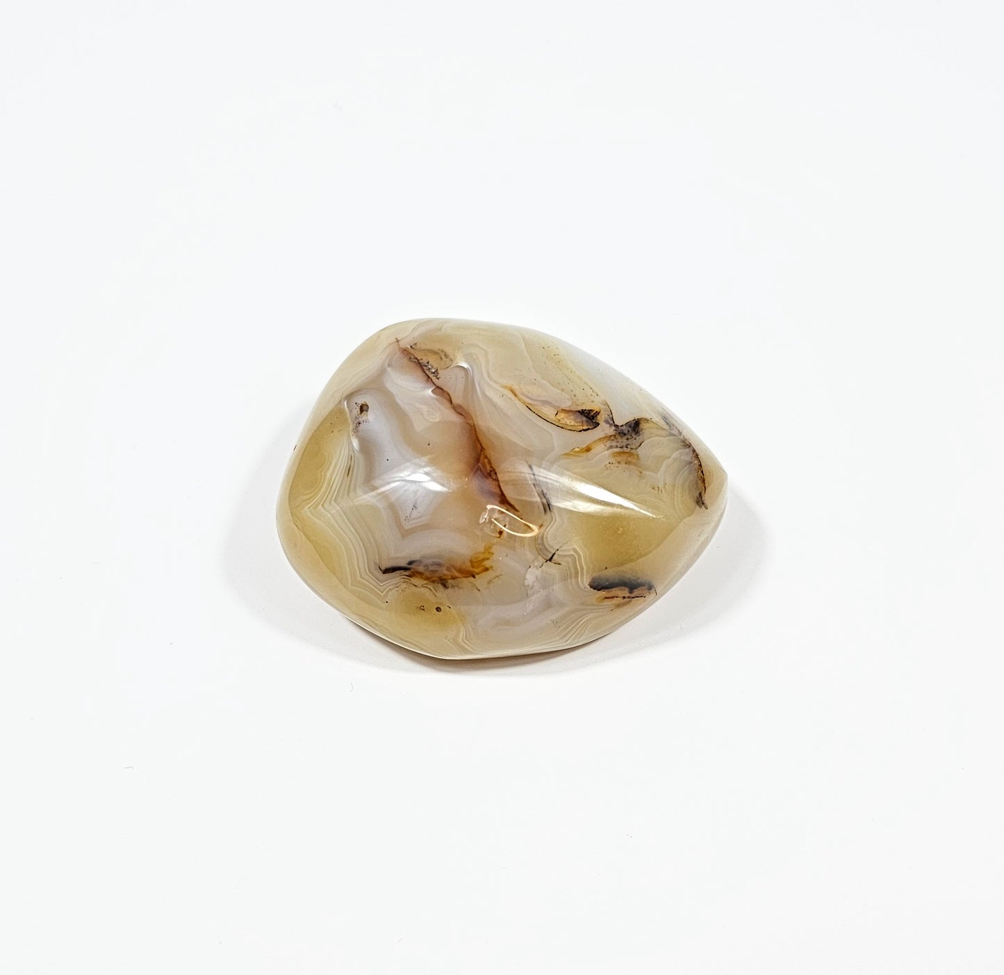 Agate Dendritique Polie