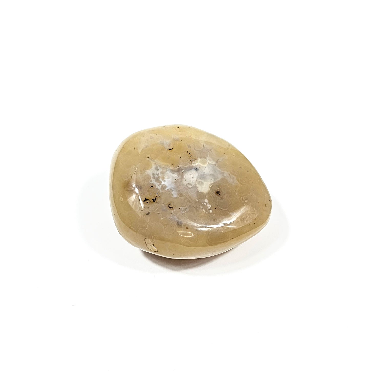 Agate Dendritique Polie