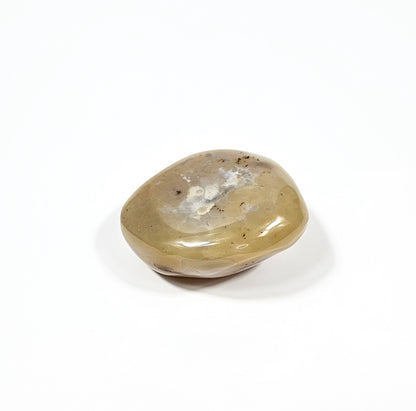 Agate Dendritique Polie