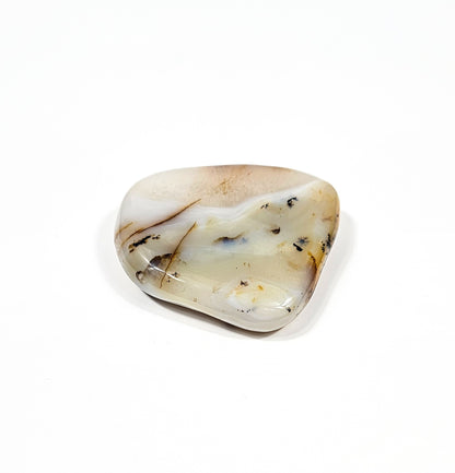 Agate Dendritique Polie