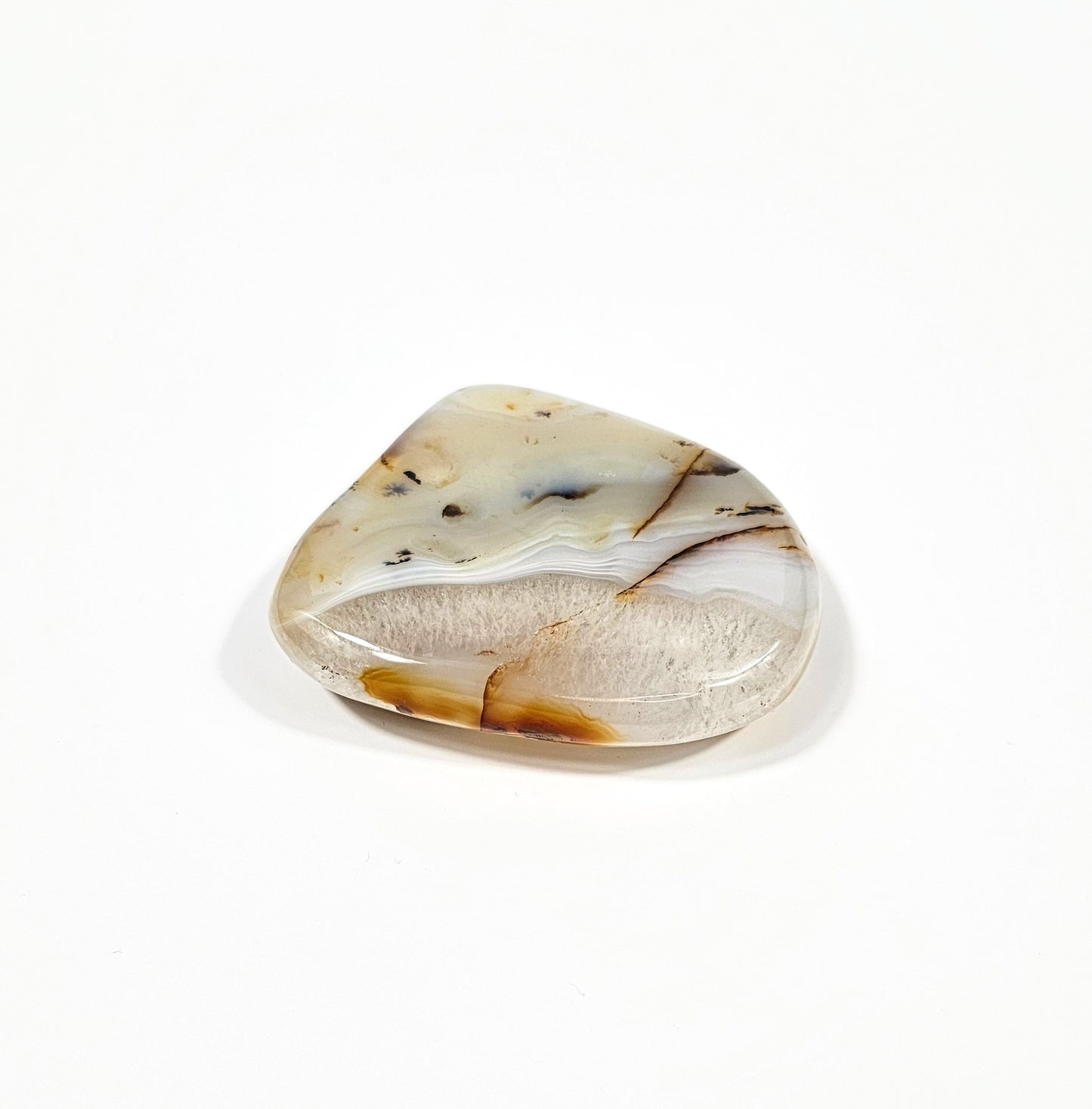 Agate Dendritique Polie