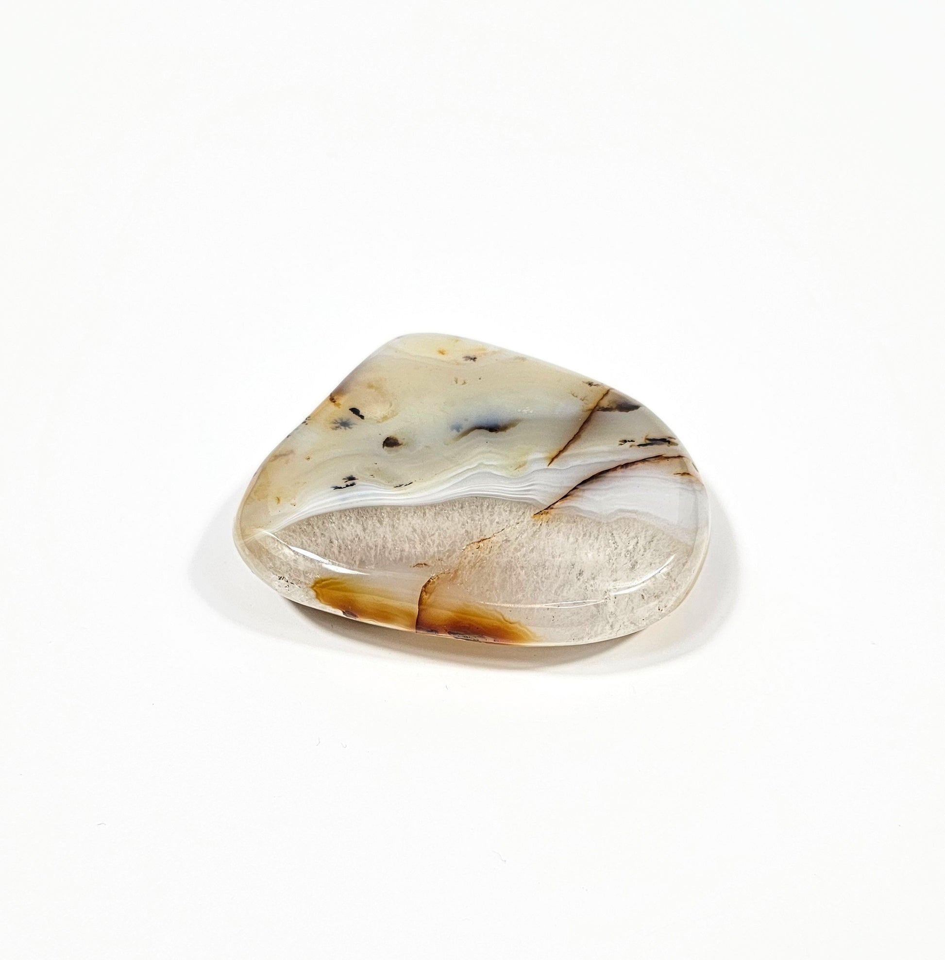 Agate Dendritique Polie