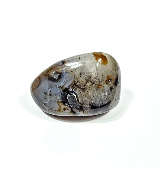 Agate Dendritique Polie