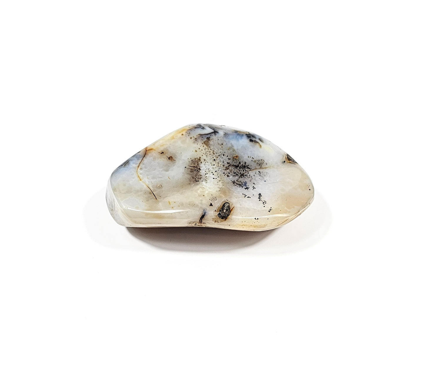 Agate Dendritique Polie