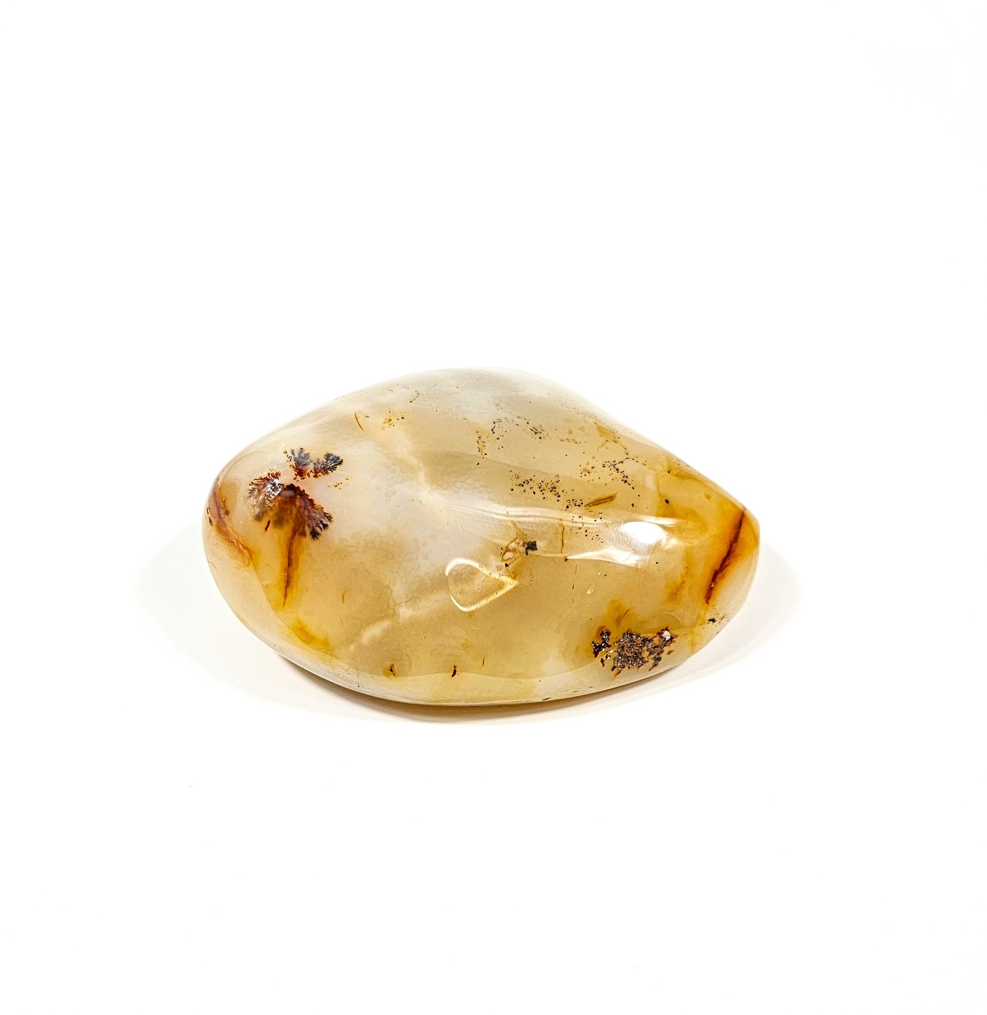 Agate Dendritique Polie