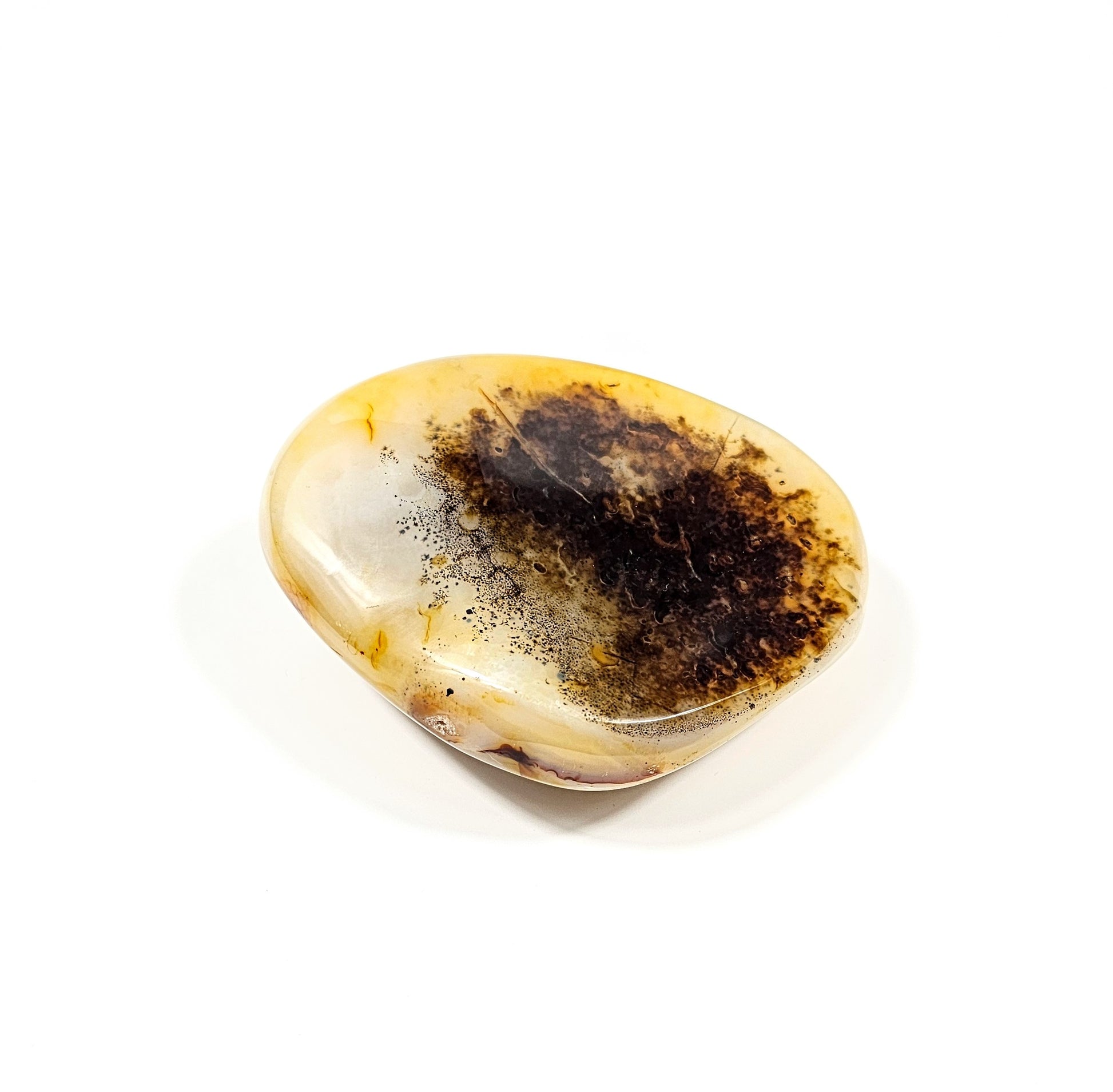 Agate Dendritique Polie