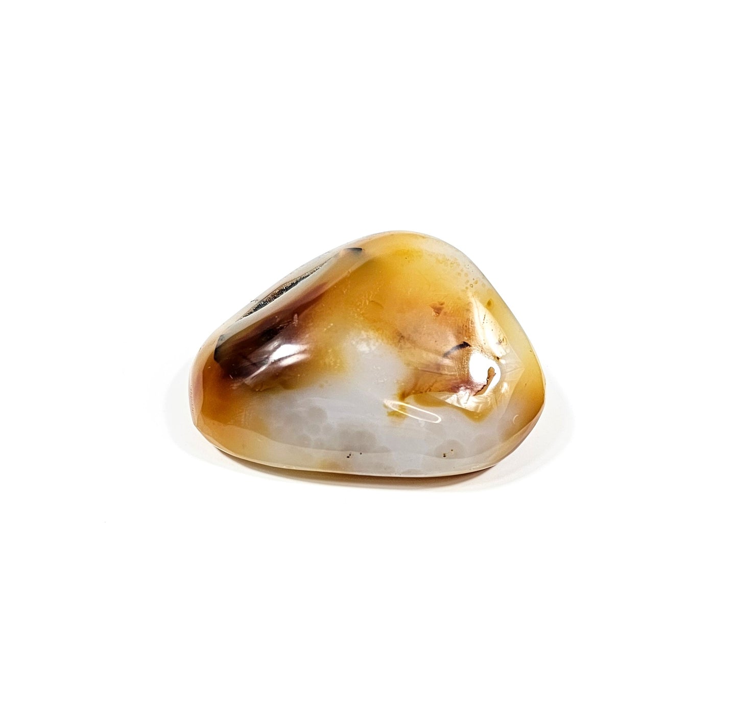 Agate Dendritique Polie