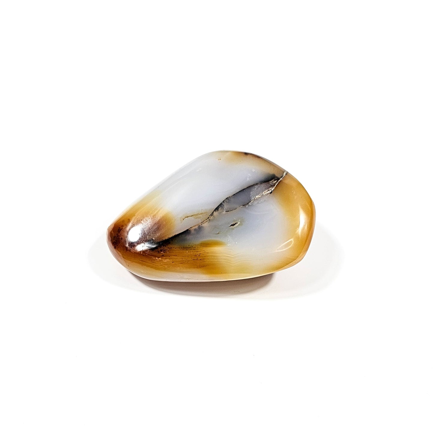 Agate Dendritique Polie