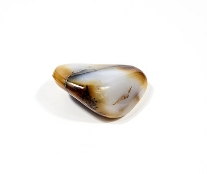 Agate Dendritique Polie