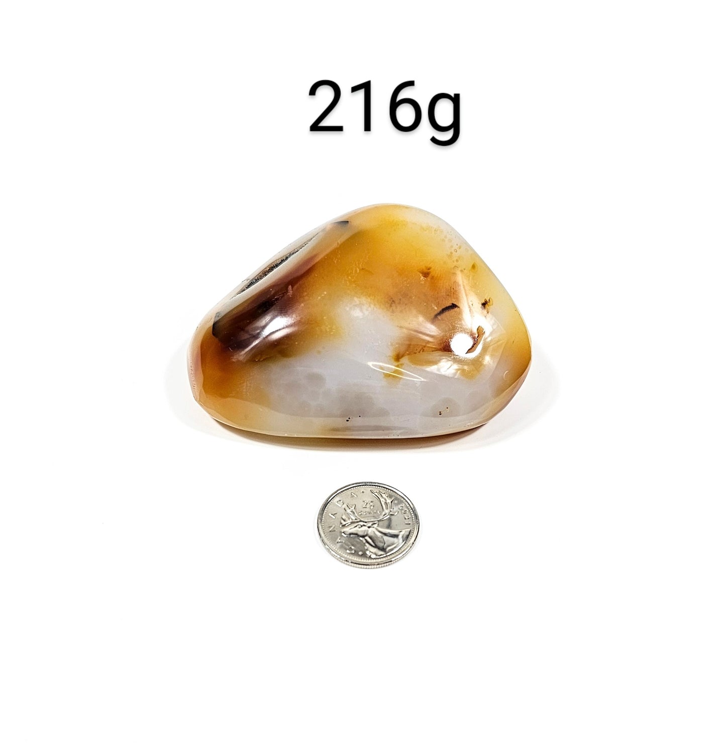 Agate Dendritique Polie