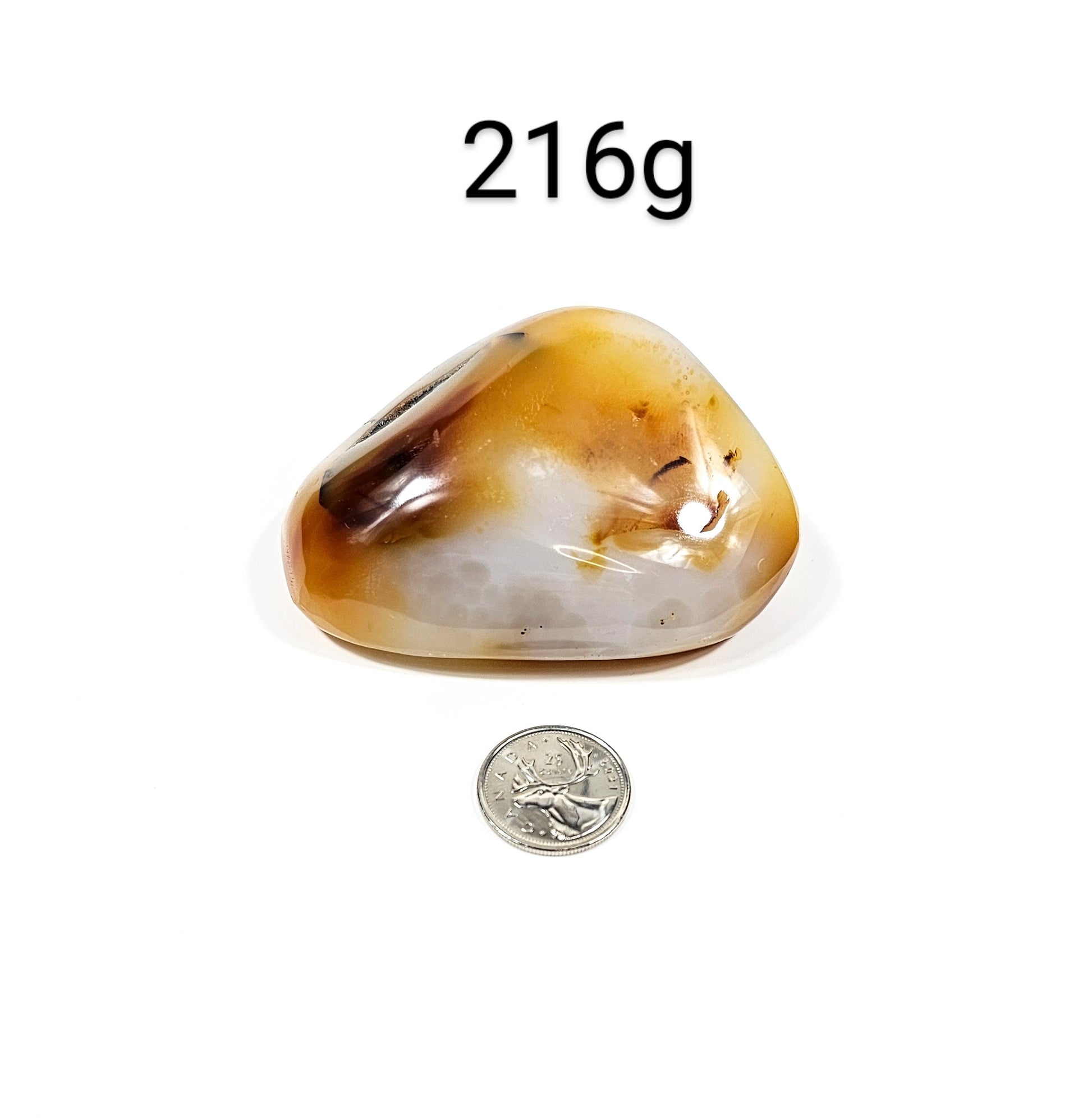 Agate Dendritique Polie