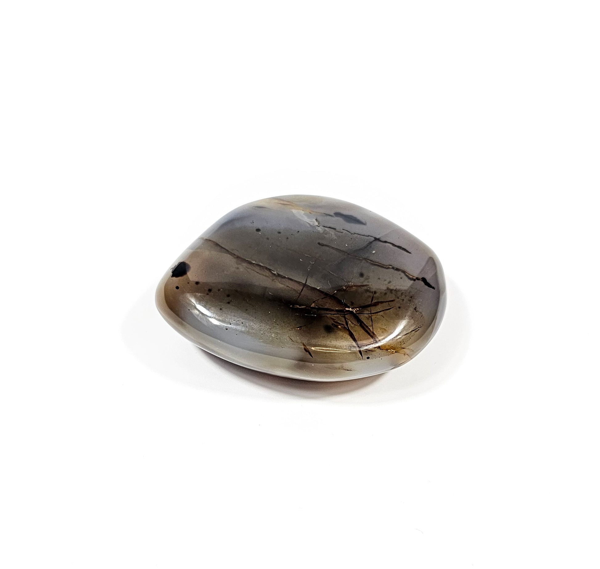 Agate Dendritique Polie