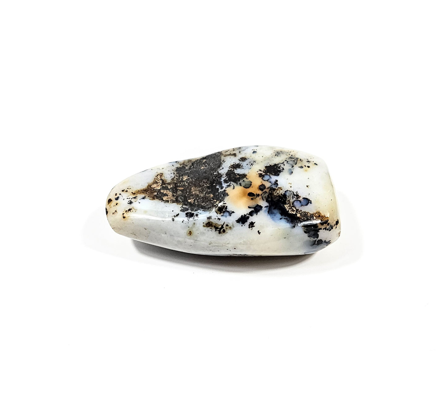 Agate Dendritique Polie