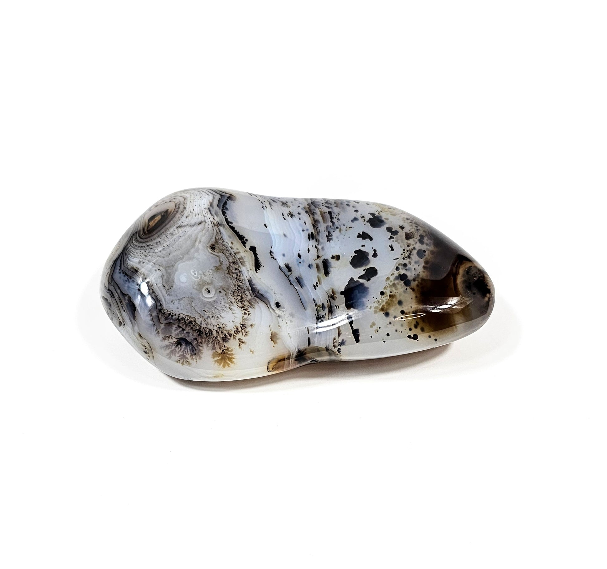 Agate Dendritique Polie