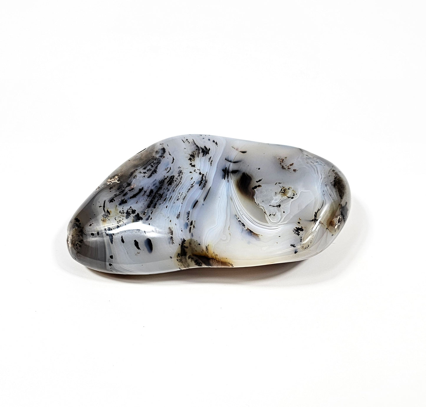 Agate Dendritique Polie