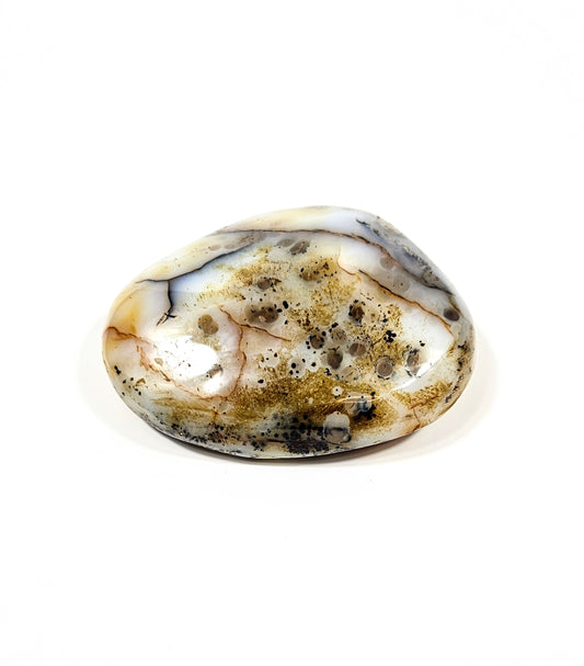 Agate Dendritique Polie