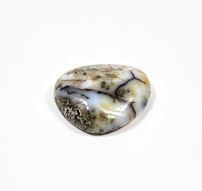 Agate Dendritique Polie