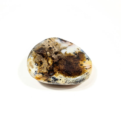 Agate Dendritique Polie