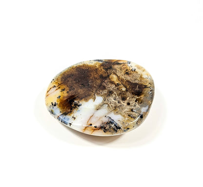 Agate Dendritique Polie