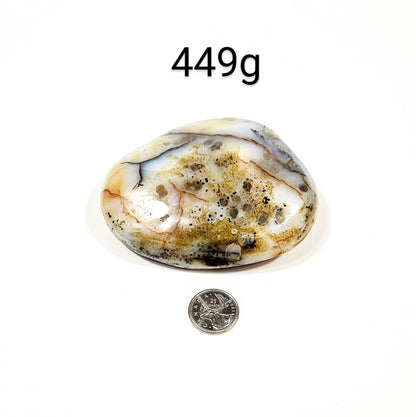 Agate Dendritique Polie