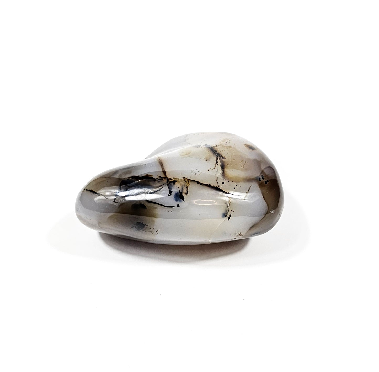 Agate Dendritique Polie