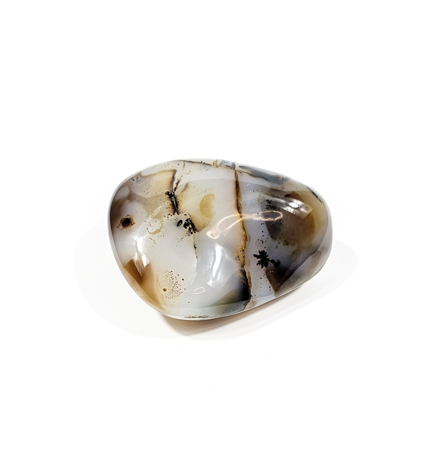 Agate Dendritique Polie