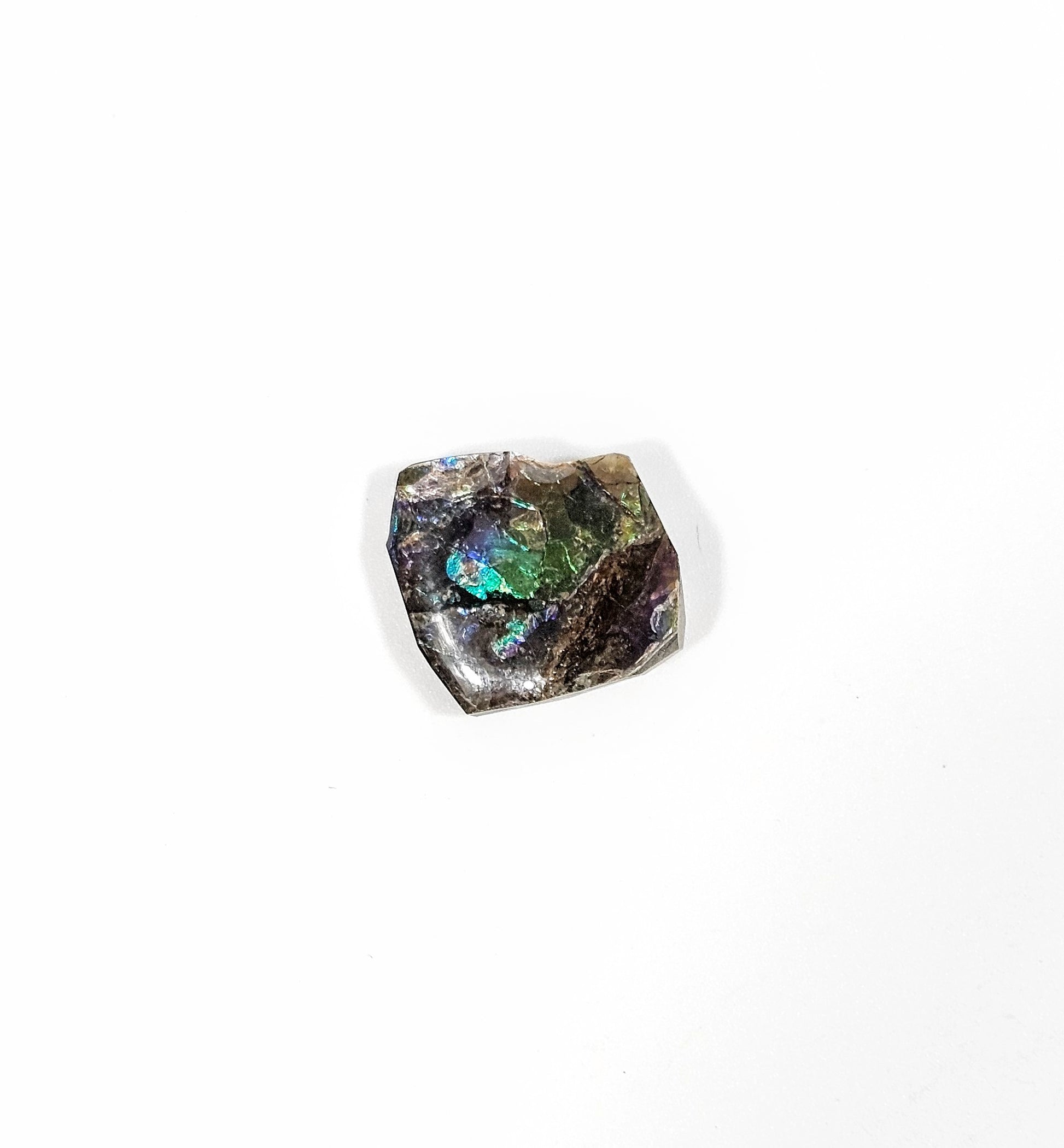 Ammolite de Feu