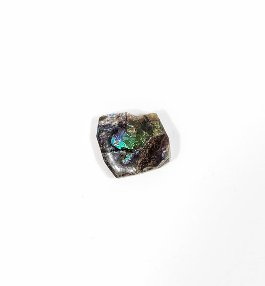 Ammolite de Feu