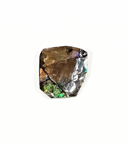 Ammolite de Feu