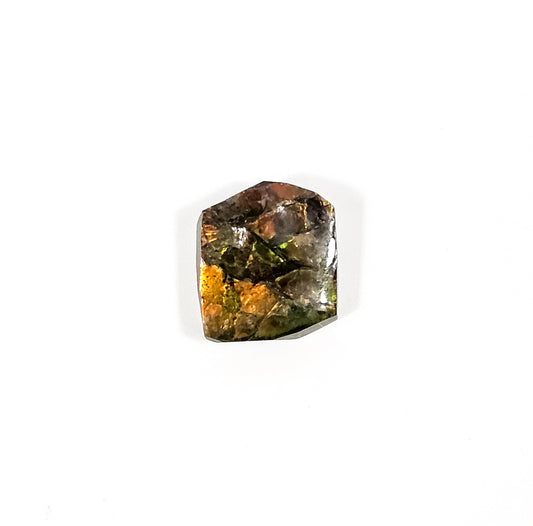 Ammolite de Feu