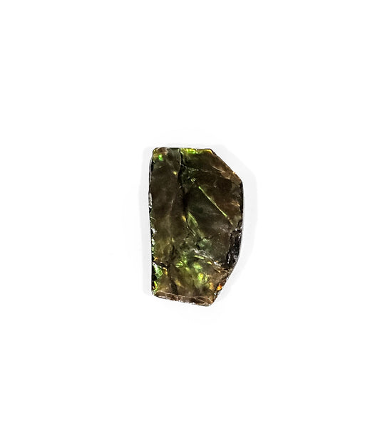 Ammolite de Feu