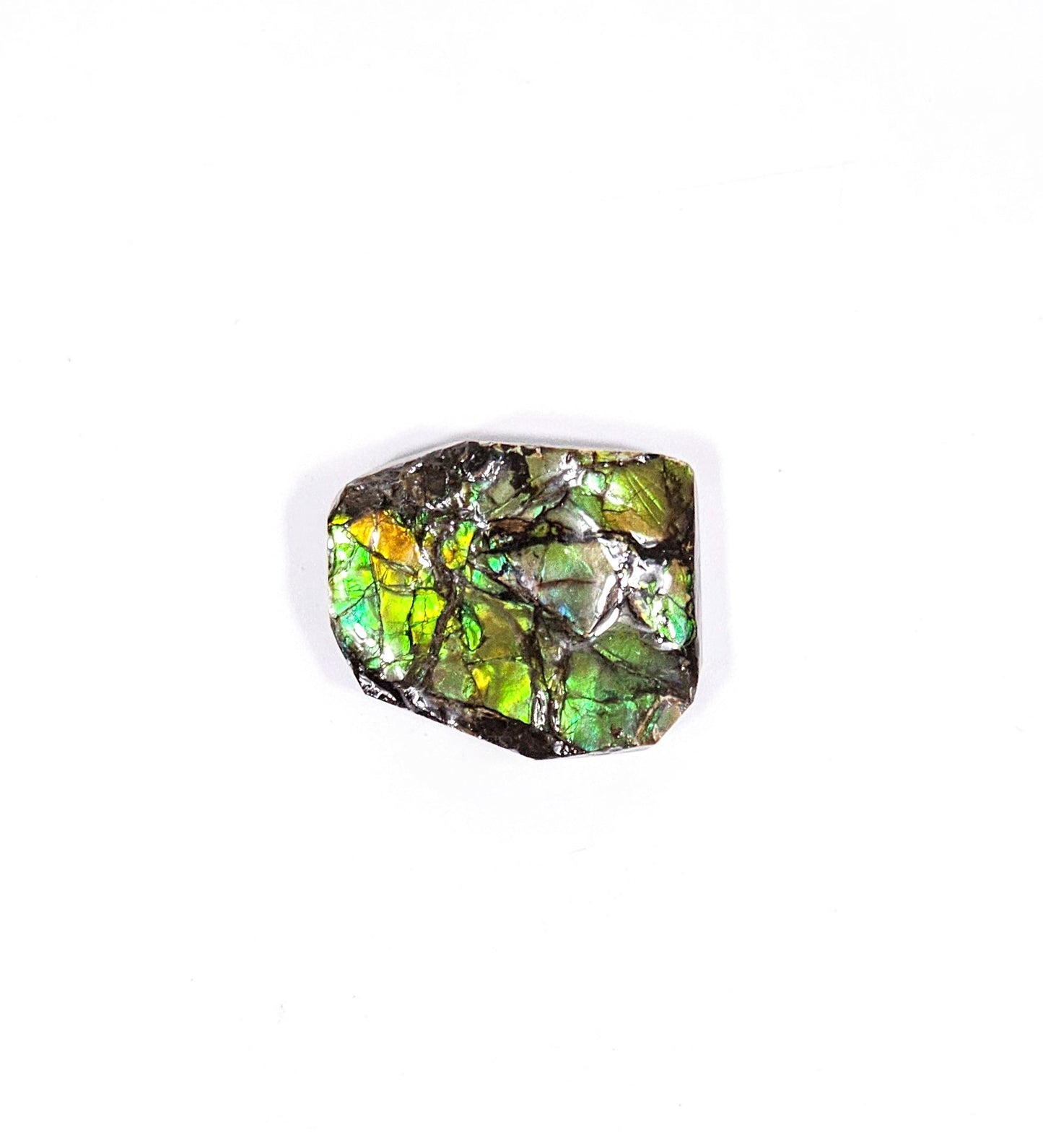 Ammolite de Feu